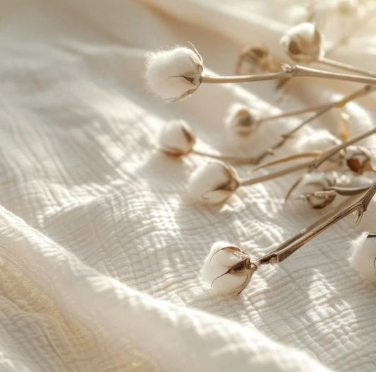 Fabric Stories — Where It All Begins